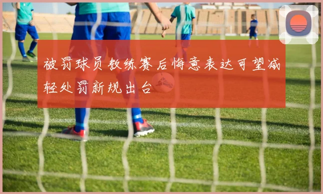 被罚球员教练赛后悔意表达可望减轻处罚新规出台